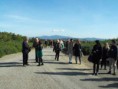 /album/visita-alla-cantina-rocca-di-frassinello-9-11-2012/a5-verso-la-cantina-jpg/